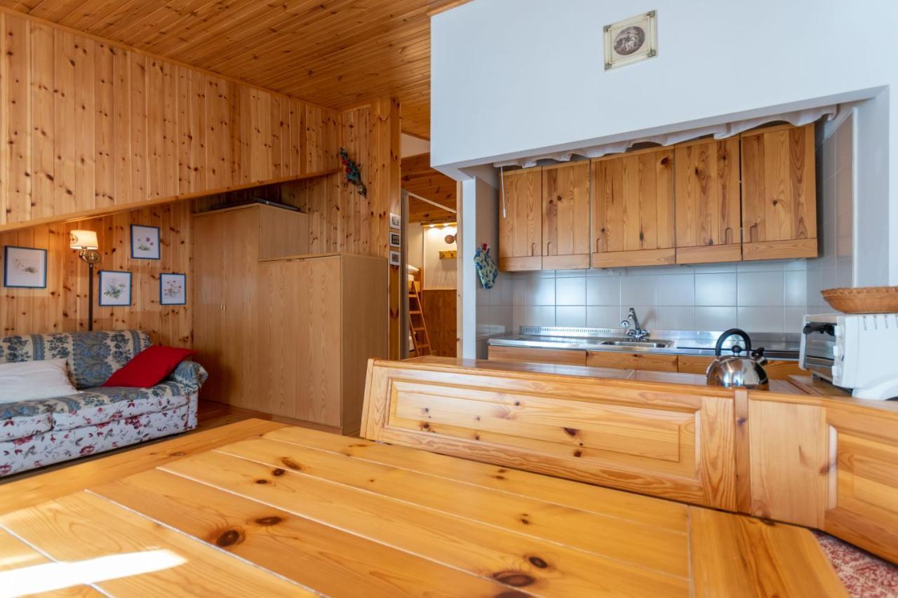 Apartamento Petit Arnica Selva di Cadore Exterior foto