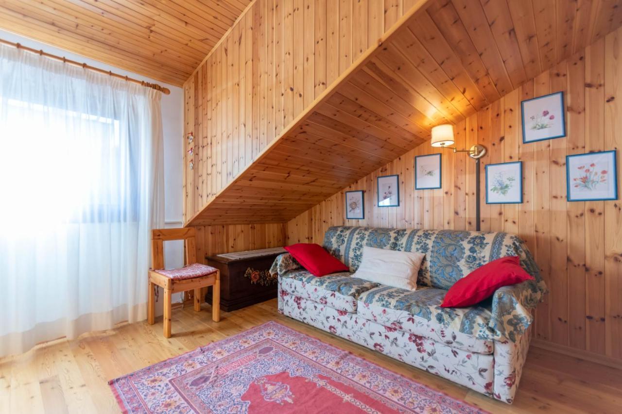 Apartamento Petit Arnica Selva di Cadore Exterior foto